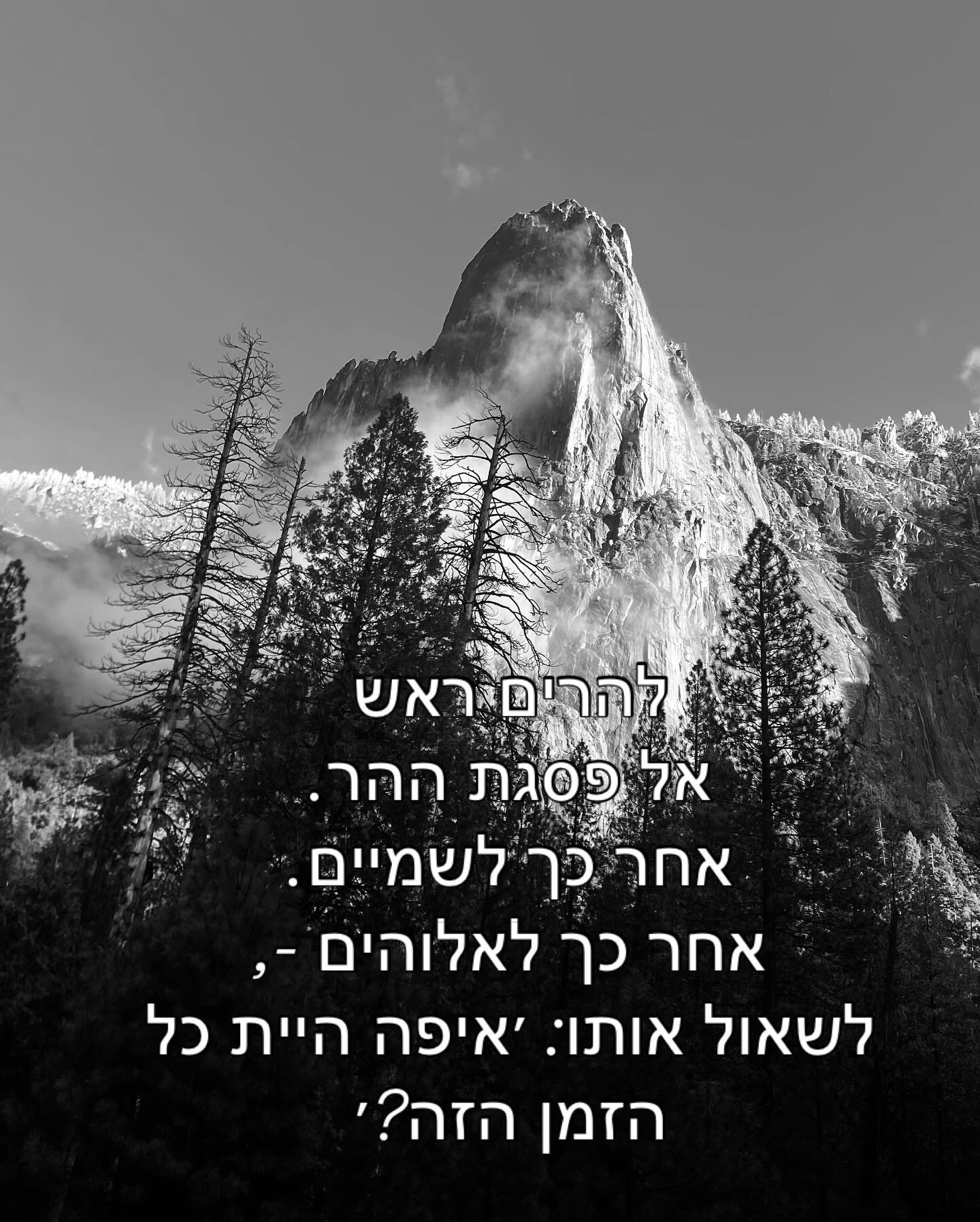 להרים ראש